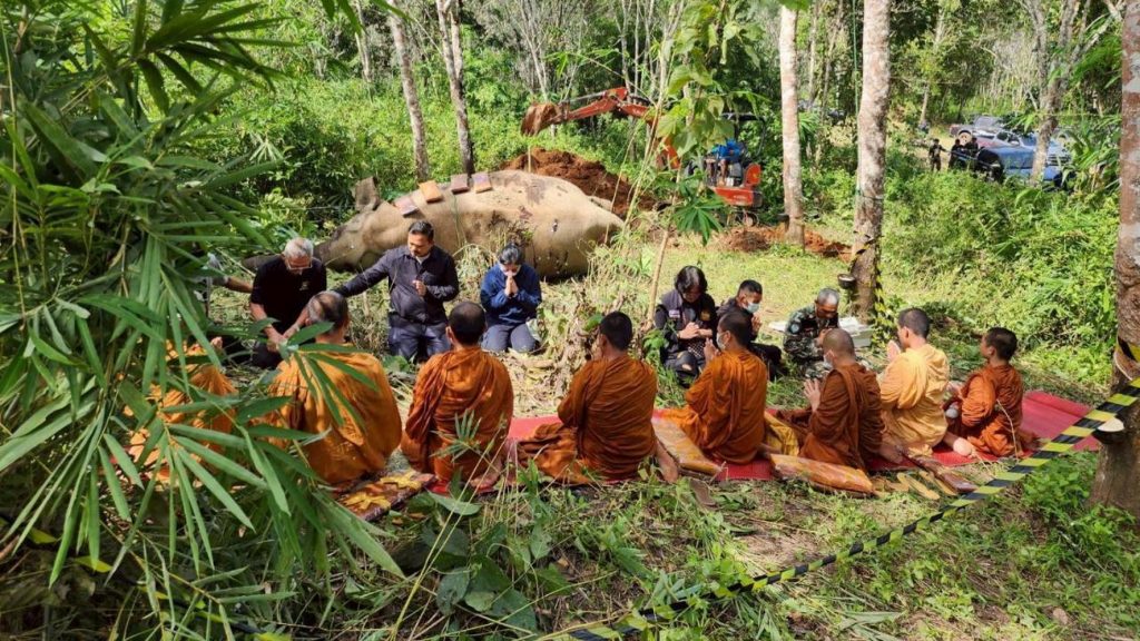 กาญจนบุรี - ผลผ่าซากช้างป่าพบลูกตะกั่ว ฝังร่าง 6 เม็ด เร่งล่าผู้ก่อเหตุดำเนินคดี ส่วนรมว.ทส.มอบ ผอ.สบอ.3(บ้านโป่ง) เป็น ปธ.พิธีรดน้ำหลวงอาบศพ ครูตู้ พนักงานพิทักษ์ป่า ขสป.ทุ่งใหญ่นเรศวรฯเย็นนี้ 13 Talknews Online