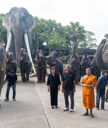 “พี่น้องต่างครรภ์แห่งสวนนงนุชพัทยา” เปิดตำนานอบอุ่นสองชีวิตใหม่ ลูกช้างคู่สายเลือดเดียวกัน