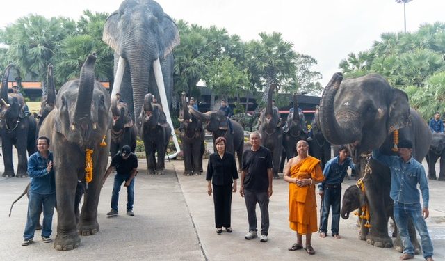 “พี่น้องต่างครรภ์แห่งสวนนงนุชพัทยา” เปิดตำนานอบอุ่นสองชีวิตใหม่ ลูกช้างคู่สายเลือดเดียวกัน