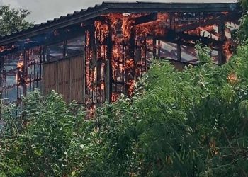 ชายวัย 58 ปี อาศัยอยู่บ้านเพียงลำพัง ไฟไหม้เสียหายทั้งหลัง วอนช่วยเหลือ 33 ชายวัย 58 ปี อาศัยอยู่บ้านเพียงลำพัง ไฟไหม้เสียหายทั้งหลัง วอนช่วยเหลือ