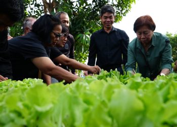 ชัยนาท เปิดสวนผักคนเมือง ต้นแบบอาหารปลอดภัย เตรียมต่อยอดสู่ตลาดผักปลอดภัยคนชัยนาท