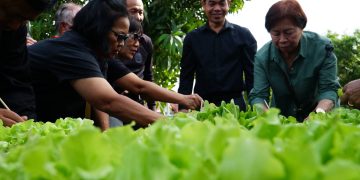 ชัยนาท เปิดสวนผักคนเมือง ต้นแบบอาหารปลอดภัย เตรียมต่อยอดสู่ตลาดผักปลอดภัยคนชัยนาท