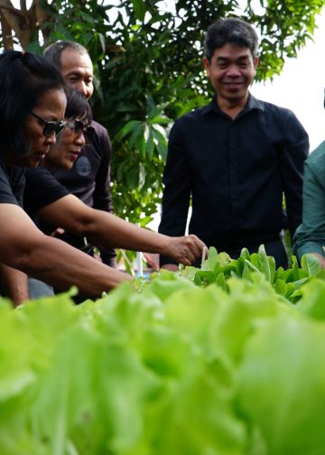 ชัยนาท เปิดสวนผักคนเมือง ต้นแบบอาหารปลอดภัย เตรียมต่อยอดสู่ตลาดผักปลอดภัยคนชัยนาท