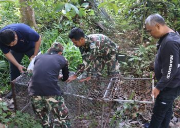 เบตง / เจ้าหน้าที่อุทยานตามจับลิงที่กัดคนเสียชีวิตเบตง