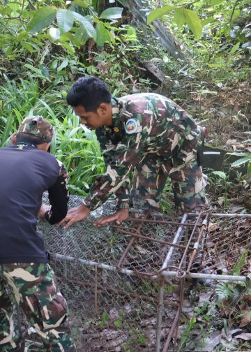 เบตง / เจ้าหน้าที่อุทยานตามจับลิงที่กัดคนเสียชีวิตเบตง