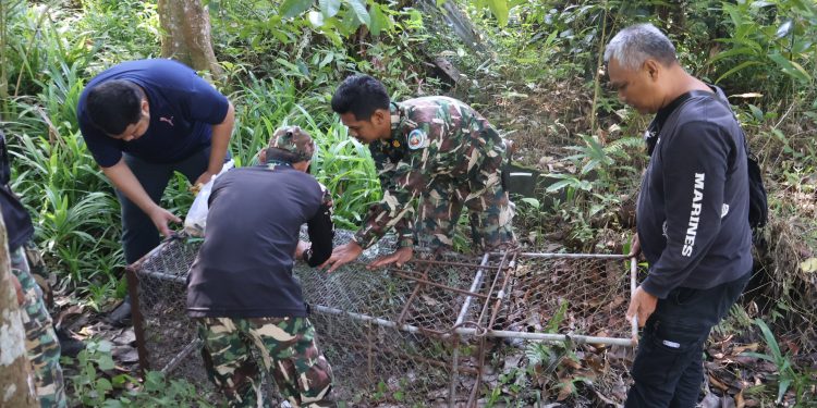 เบตง / เจ้าหน้าที่อุทยานตามจับลิงที่กัดคนเสียชีวิตเบตง