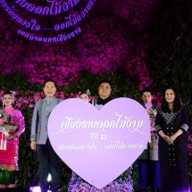 สุดสวยงามอุทยานดอกไม้ รับนักท่องเที่ยว เชียงรายดอกไม้งาม ครั้งที่ 22มนต์เสน่ห์นครแห่งความสุข