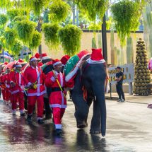สวนนงนุชพัทยา จัดใหญ่! คริสต์มาสแฟนตาซี สุดอลังการ ช้าง ซานตาคลอส–พาเหรดแห่งความสุข เที่ยวคุ้มทั้งครอบครัว พลาดไม่ได้!