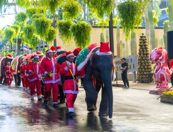 สวนนงนุชพัทยา จัดใหญ่! คริสต์มาสแฟนตาซี สุดอลังการ ช้าง ซานตาคลอส–พาเหรดแห่งความสุข เที่ยวคุ้มทั้งครอบครัว พลาดไม่ได้!