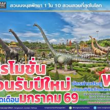 สวนนงนุชพัทยา ส่งท้ายปีเก่าต้อนรับปีใหม่ 2569 มอบของขวัญสุดพิเศษ ชวนสัมผัสทะเลดอกไม้บานสะพรั่งทั่วทั้งสวน