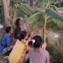 นครนายก – กล้วยน้ำว้ารีบออก ชาวบ้านก็รีบขอโชค