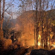 กาญจนบุรี – เคสแรกของปี​! จนท.อช.เอราวัณสนธิกำลังสกัดไฟป่า พบหลักฐานพรานแสบ “จุดไฟล่าสัตว์หวังไล่สัตว์เข้าติดบ่วง” สั่งขยายผลจับกุมด่วน​