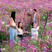 ลพบุรี ความสุขหลังเกษียณ​ทำเกษตรพืชผักสวนดอกไม้สร้างความสุขให้กับตนเองครอบครัว​คนอรอบข้าง​โดยได้รับความสนใจจากนักท่องเที่ยวเป็นจำนวนมาก​