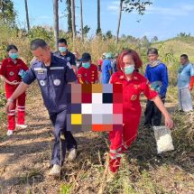สลด! หนุ่มใหญ่วัย 59 ปี ถูกต้นไม้ล้มทับเสียชีวิต ขณะตัดไม้ในสวนยางท่าวังผา