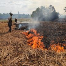 ปราจีนบุรี เจ้าของนาเป็นลมเกี่ยวข้าวยังไม่เสร็จไฟไหม้ข้าวอบต.ช่วยดับ