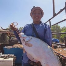 สกลนคร คึกคักเซียนแหแห่ซื้อบัตรลงแขกจับปลาวิถีพื้นบ้านสร้างรายได้สู่ชุมชน