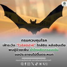 กาญจนบุรี – ผวจ.แจ้งเตือนประชาชนอย่าตื่นตระหนก เฝ้าระวังป้องกันโรคติดเชื้อ “ไวรัสนิปาห์”