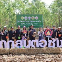 สกลนคร ไถกลบตอซังโครงการหยุดเผาในพื้นที่การเกษตรชูแนวคิด สกลนครไม่เผา เราทำได้