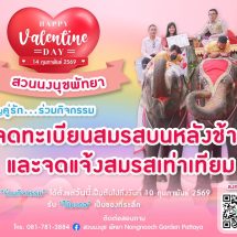 สวนนงนุชพัทยา เปิดรับสมัครคู่รัก ร่วมจดทะเบียนสมรสบนหลังช้าง ครั้งหนึ่งในชีวิตที่น่าจดจำ วาเลนไทน์ 14 กุมภาพันธ์ 2569 จำนวนจำกัด!