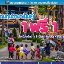สวนนงนุชพัทยา จัดใหญ่รับเดือนแห่งความรัก! โปรฯ “มาคู่ จ่าย 1แถมฟรีอีก1” คุ้มกว่านี้ไม่มีอีกแล้ว