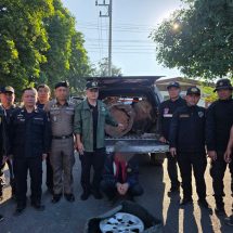 ล่า ! “ธนรัตน์ แปงใจ” ผอ.สจป 3 แพร่ “สั่งเข้ม” บูรณาการกำลังฯสกัดกั้นขบวนการไม้ข้ามชาติ และเป็นการสนองนโยบาย