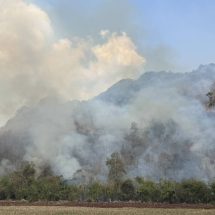 กาญจนบุรี – อสส. ประชุมร่วมกันพิจารณาปัญหาอุปสรรคเพื่อหาแนวทางแก้ไข เน้นย้ำข้อสั่งการของอธิบดีกรมอุทยานแห่งชาติ สัตว์ป่า และพันธุ์พืช