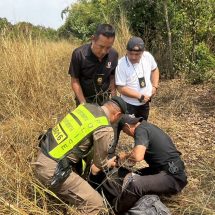 กาญจนบุรี – ตร.ทางหลวงไล่ล่าระทึก รวบไอ้ต้นรัก พร้อมกระบะซุก 16 แรงงานเถื่อน พบเพิ่งถูกจับกระบะซุก 11 แรงงาน เมื่อปลายเดือน ก.ย.2568 แต่ไม่เข็ด