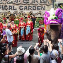 สวนนงนุชพัทยา จัดสุดยิ่งใหญ่ ขบวนช้างแสนรู้เชิดสิงโต ต้อนรับเทศกาลตรุษจีน 2569 สืบสานวัฒนธรรมประเพณีจีน สร้างความสุขนักท่องเที่ยวจากทั่วโลก
