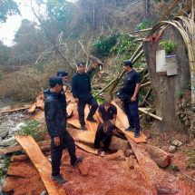 สั่งเข้ม ! “ธนรัตน์ แปงใจ” ผอ.สจป.3 แพร่ สั่งสนธิกำลังฯ ตรวจยึดไม้ขบวนการไม้เถื่อน ของกลางพร้อมยาบ้าเพียบ