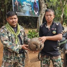 กาญจนบุรี – โชคดีของเจ้าลิ่นชวาตัวน้อย ชาวบบ้านเจอก่อนถูกน้องหมาขย่ำ พร้อมประสาน จนท.มารับส่งคืนสู่ธรรมชาติ