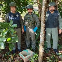 พังงา-ชาวบ้านตะกั่วป่าตลึง พบกระสุนปืนต่อสู้อากาศยานใกล้บ้าน เร่งแจ้งเจ้าหน้าที่เก็บกู้ทำลายปลอดภัย