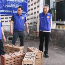 ปกครองเมืองหนองคาย บุกทลายบ่อนไก่ชน สนามซ้อมคัดไก่ชน ศ.คำกอง รวบนักพนัน 18 ราย ไม่มีใครแสดงตัวเป็นเจ้าของ