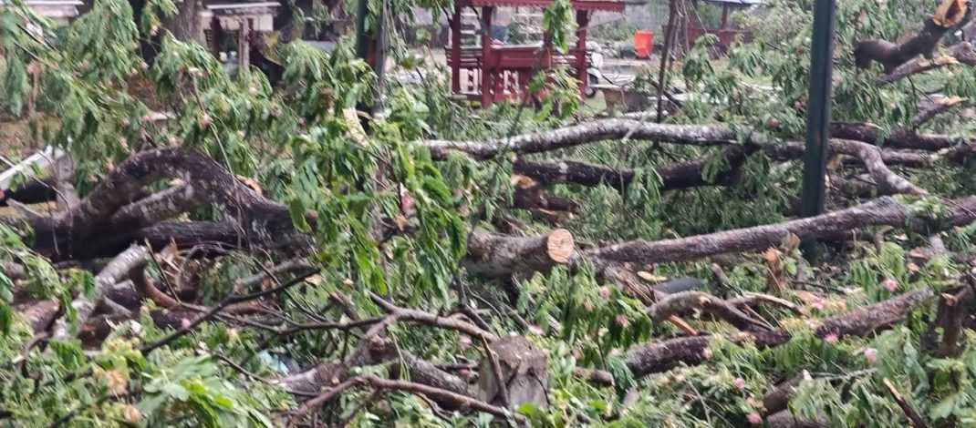 พายุกระหน่ำแพร่ ! นายกทต.สอง สั่งงานป้องกัน ลุยตัดเก็บกิ่งไม้ส่วน นายกทต.เวียงต้า นำทีม จัดการต้นไม้หักโค่น