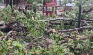 พายุกระหน่ำแพร่ ! นายกทต.สอง สั่งงานป้องกัน ลุยตัดเก็บกิ่งไม้ส่วน นายกทต.เวียงต้า นำทีม จัดการต้นไม้หักโค่น