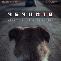 มทร.รัตนโกสินทร์เชิญร่วมบันทึกการเดินทางด้วยเที่ยวบินพิเศษ ชมหนังสั้นในนิทรรศการภาพถ่ายของนักศึกษาโฟโต้เพาะช่าง