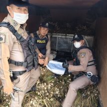 รวบคาด่านปูแกง เชียงราย หนุ่ม กทม.อ้างรับจ้างขนกระเทียม แต่แอบซุกยาบ้า 2 ล้านเม็ด