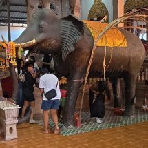 นครนายก – ชาวบ้านรอดท้องช้าง เสริมดวงชะตา พร้อมส่อง เลขเด็ดเสี่ยงโชค