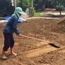 สกลนคร ชี้ทองคำปุ๋ยคอกมูลโคนมราคาถูกกระสอบละ 50 บาท ทางเลือกปุ๋ยแพงยุคสงคราม