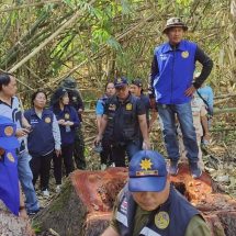 กาญจนบุรี – อำเภอทองผาภูมิ จังหวัดกาญจนบุรี