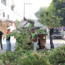 เทศบาลเมืองน่านลงพื้นที่ตัดแต่งกิ่งไม้ เตรียมรับพายุฤดูร้อน ลดเสี่ยงอันตรายประชาชน