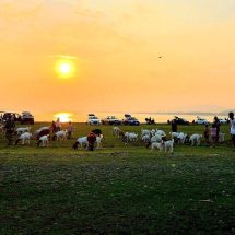จังหวัดลพบุรี เขื่อนป่าสักชลสิทธิ์นิวซีแลนด์เมืองไทยมนต์เสน่ห์แห่งความงดงาม
