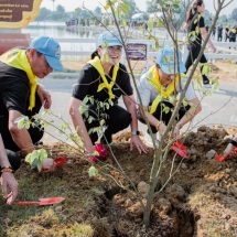 กาญจนบุรี – อำเภอท่าม่วง จัดกิจกรรมจิตอาสาพระราชทาน “เราทำความ ดี ด้วยหัวใจ ” จิตอาสาปรับภูมิทัศน์ ปลูกต้นไม้ และปล่อยพันธุ์ปลา เนื่องในโอกาสวันคล้ายวันพระราชสมภพสมเด็จพระกนิษฐาธิราชเจ้า กรมสมเด็จพระเทพรัตนราชสุดาฯ สยามบรมราชกุมารี 2 เมษายน 2569