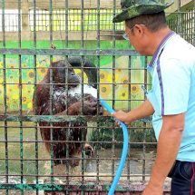 ลพบุรี ลพบุรีร้อนระอุทะลุ 40 องศา คนก็ร้อนลิงก็ร้อน