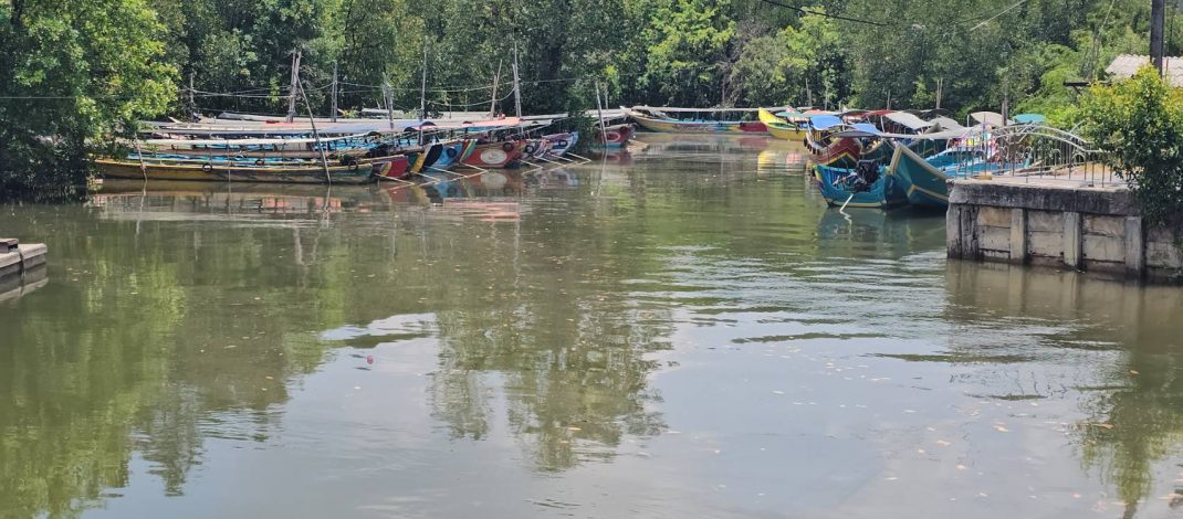 พังงา/ผู้ประกอบการเรือนำเที่ยวโอดนทท.ลดวูบกระทบรายได้ ต้องจอดเทียบท่ากว่า 100 ลำ