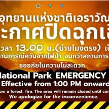 กาญจนบุรี – อุทยานฯเอราวัณ ห่วง ปชช.-นทท.หลังเจอวิกฤตไฟป่ารุนแรง พร้อมประกาศปิดการท่องเที่ยวและสถานที่พักแรม ชั่วคราว