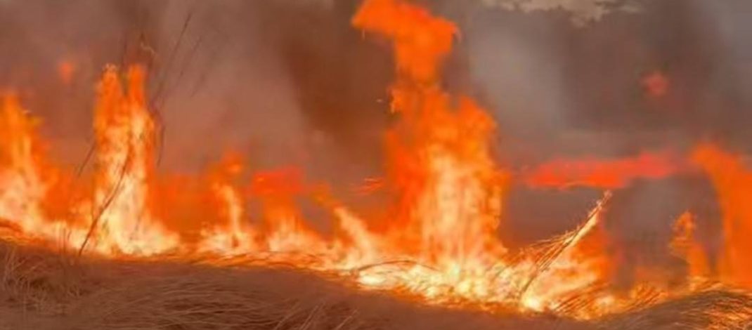 ชาวแพร่ระทึก! เห็นควันไฟพวยพุ่ง หลังห้างโฮมโปรแพร่ ปั๊มบางจากระดม จนท.รถดับเพลิงเข้าสกัด ผู้ว่าแพร่ รุดบัญชาการด่วน