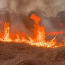 ชาวแพร่ระทึก! เห็นควันไฟพวยพุ่ง หลังห้างโฮมโปรแพร่ ปั๊มบางจากระดม จนท.รถดับเพลิงเข้าสกัด ผู้ว่าแพร่ รุดบัญชาการด่วน