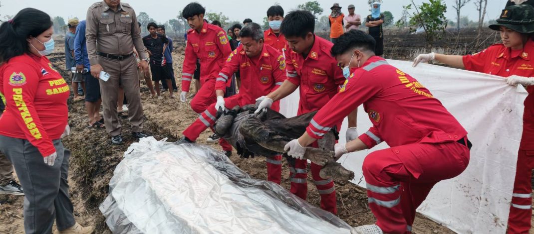 สกลนคร เฒ่าถึงฆาตช่วยดับไฟไหม้ทุ่งนาถูกไฟคลอกเสียชีวิตสลด