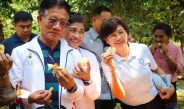 กาญจนบุรี – รองผู้ว่าฯ เปิดฤดูกาลทุเรียนเมืองกาญจน์” ประจำปี 2569 การันตีทุเรียนเมืองกาญจน์ได้มาตรฐาน “แก่จัด เนื้อแน่น ไม่มีทุเรียนอ่อน”