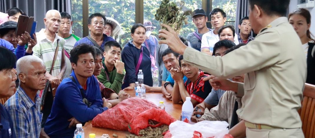 เกษตรกรปลูกถั่วลายเสือแม่ฮ่องสอนร้องถูกกดราคา วอนรัฐช่วยกำหนดมาตรฐานรับซื้อ